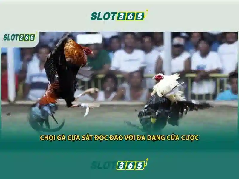 Slot365 là gì?