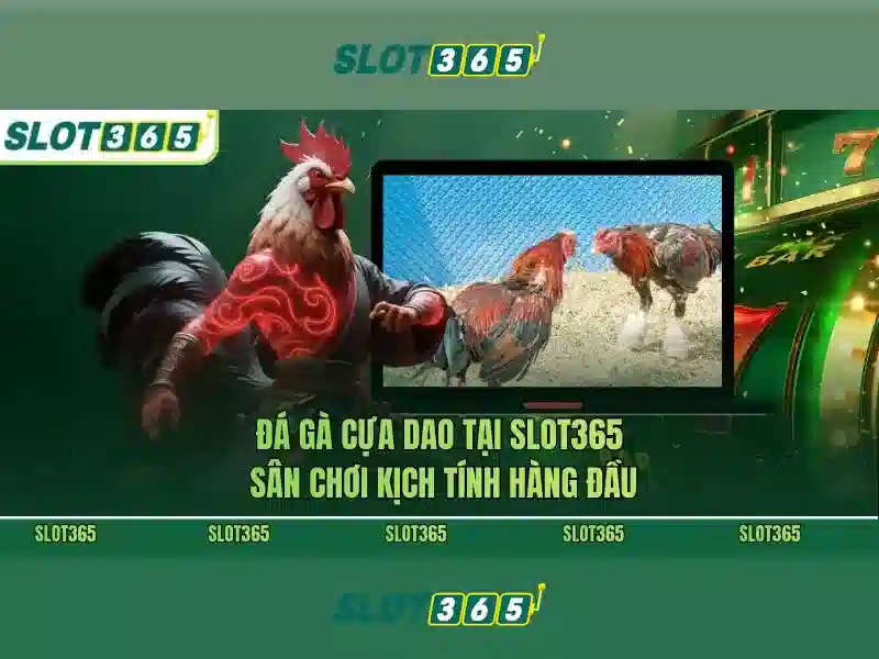 Slot365 là gì?