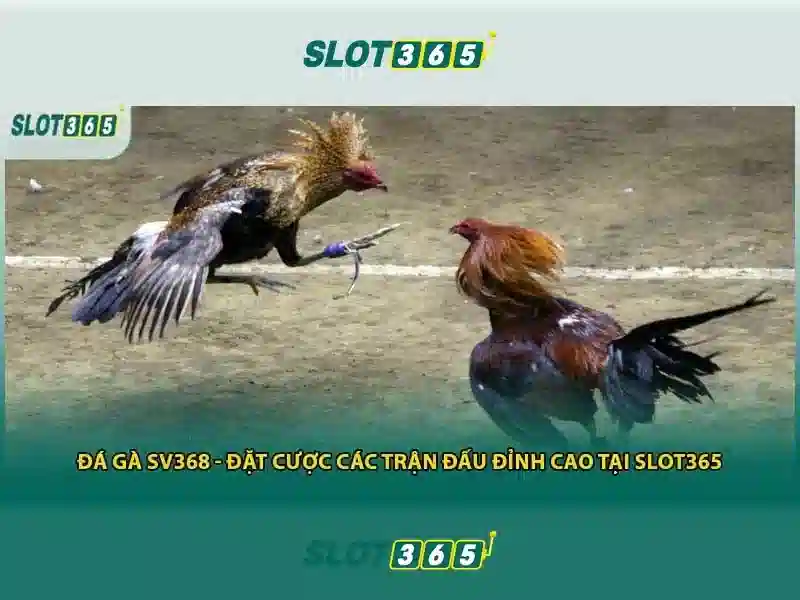 An toàn thanh toán và bảo mật
