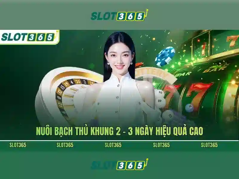 Tính năng nổi bật của slot365