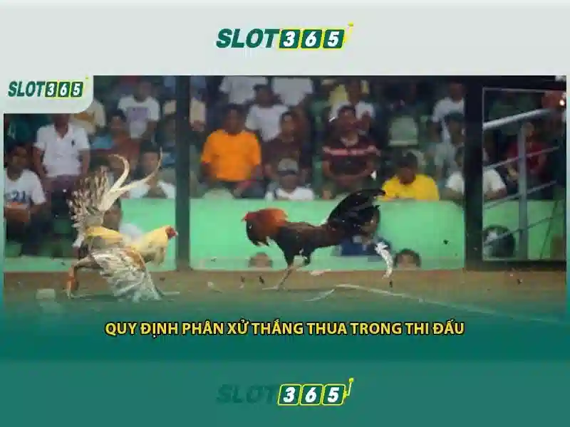 Tính năng nổi bật của Slot365