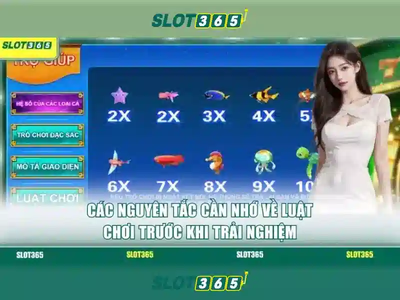 Cơ hội nhận thưởng và khuyến mãi
