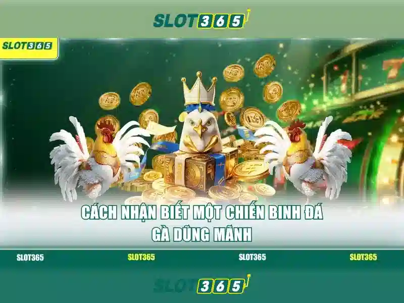 Đa dạng trò chơi slot