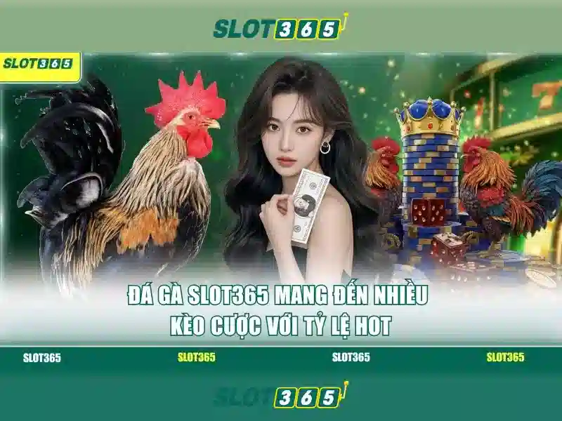 Hướng dẫn tham gia Slot365