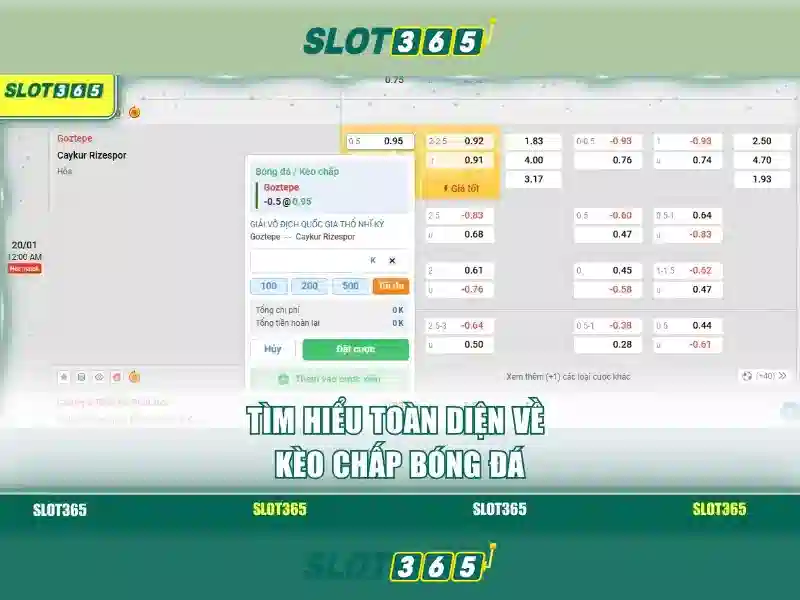 baccarat slot365
