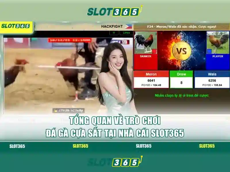 Giai_doan_to_chuc_du_lieu