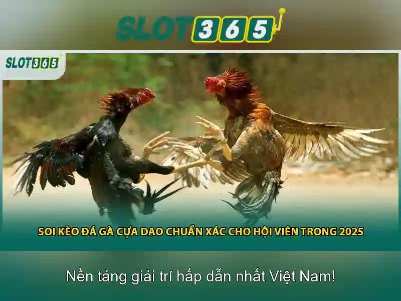 Trai nghiem nguoi dung va tro choi