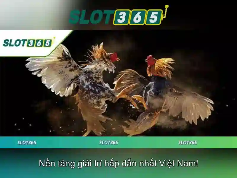 Cách hoạt động của Slot365