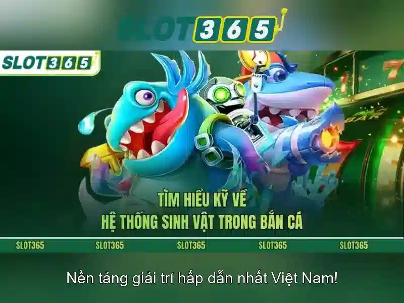 Hỗ trợ khách hàng và kết luận