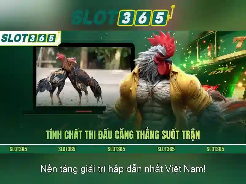 baccarat slot365