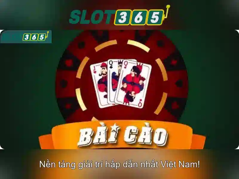 Thong-tin-ung-dung