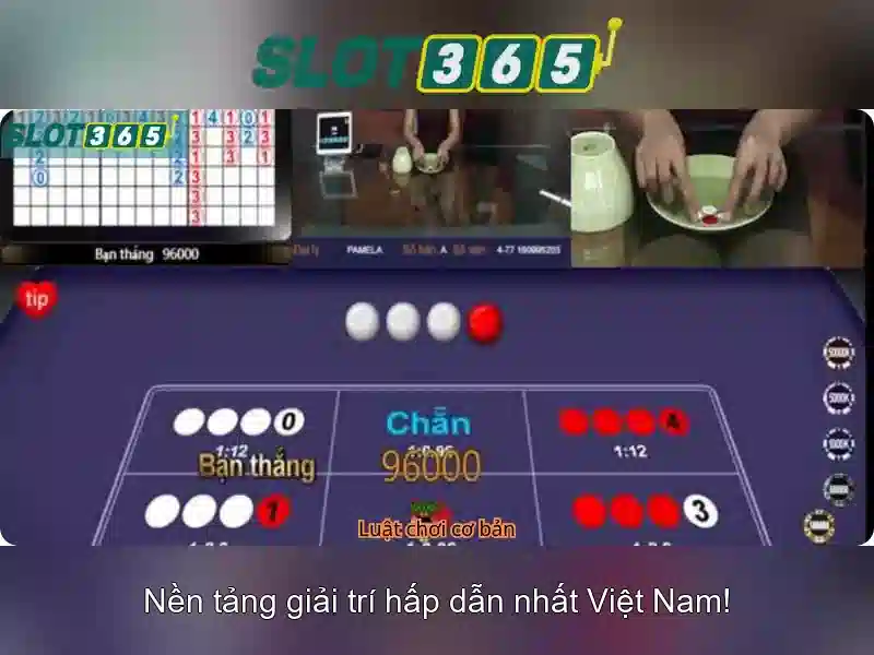 Slot365 – Nền tảng giải trí casino online
