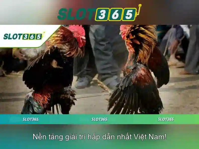 Khuyến mãi và chương trình thưởng