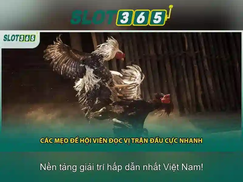 Nap-tien-va-rut-tien   