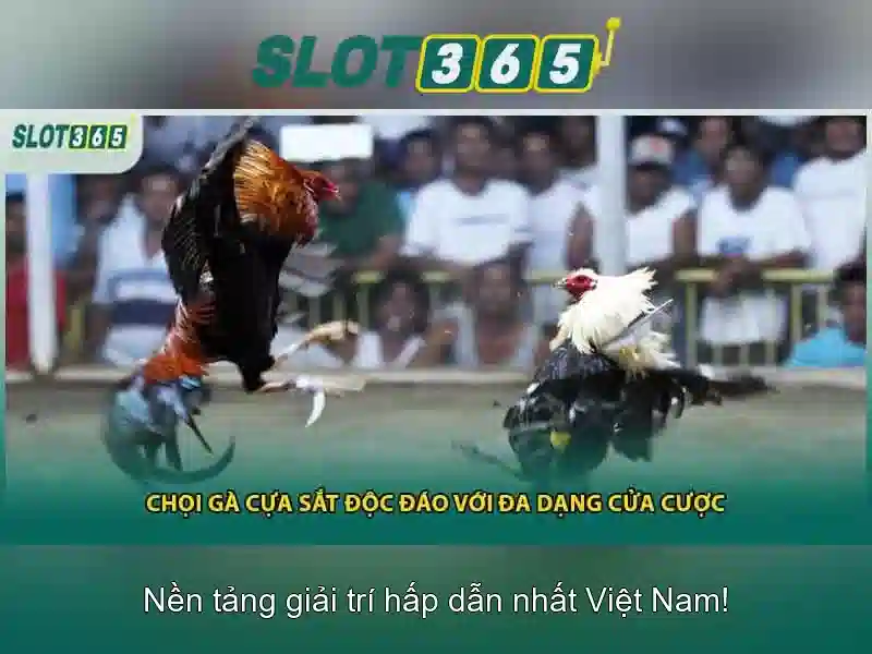 Slot365 là gì?
