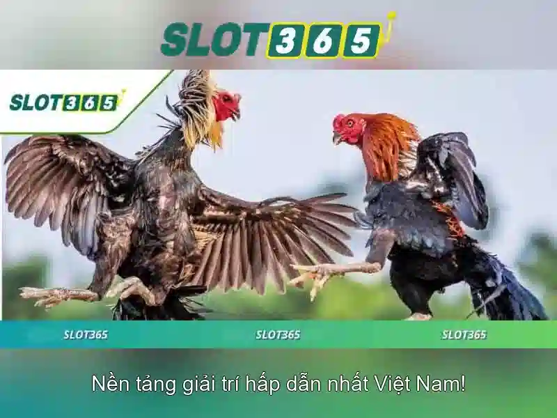 bao-mat-thanh-toan