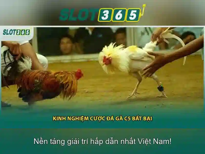 Trò chơi và nhà cung cấp
