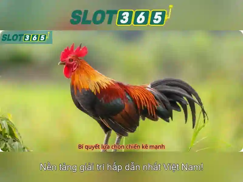 Các trò chơi nổi bật tại Slot365