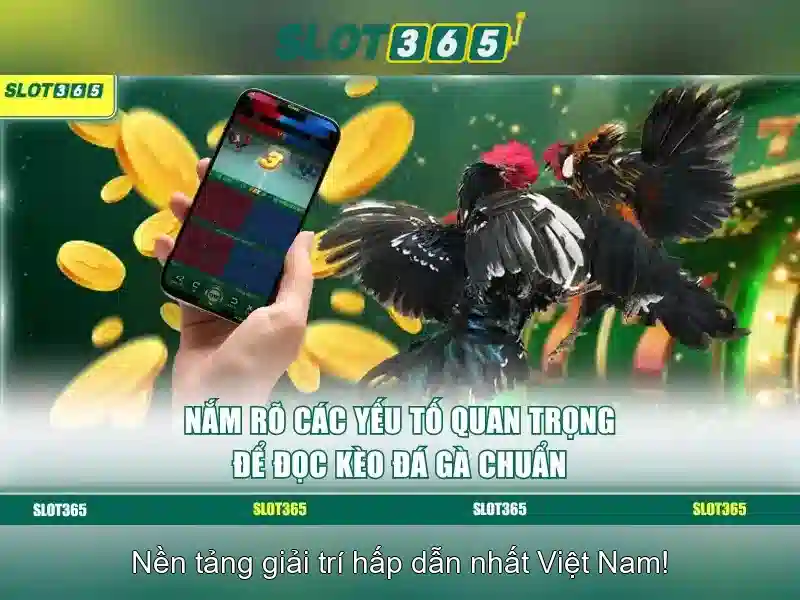 Slot365 là gì?