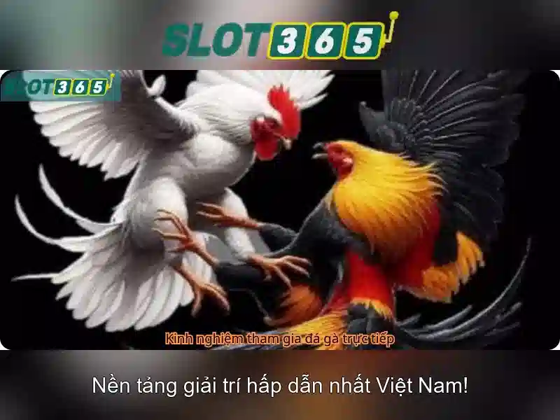 Tại sao chọn Slot365?