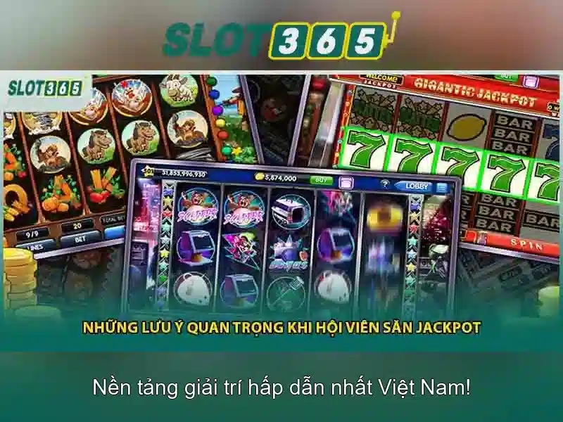 Trải nghiệm người dùng và thanh toán