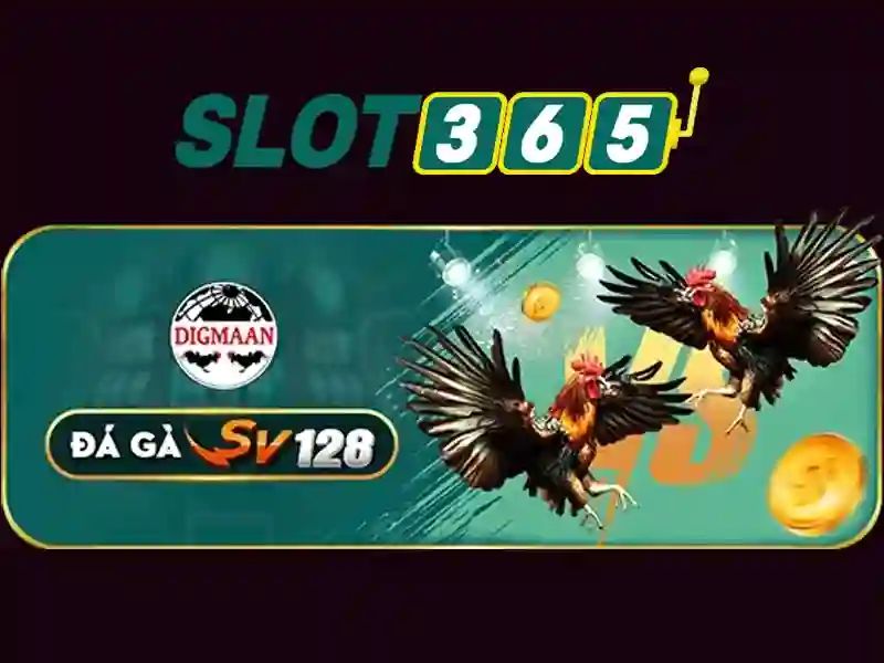 Kết luận về slot365 cho người chơi Việt